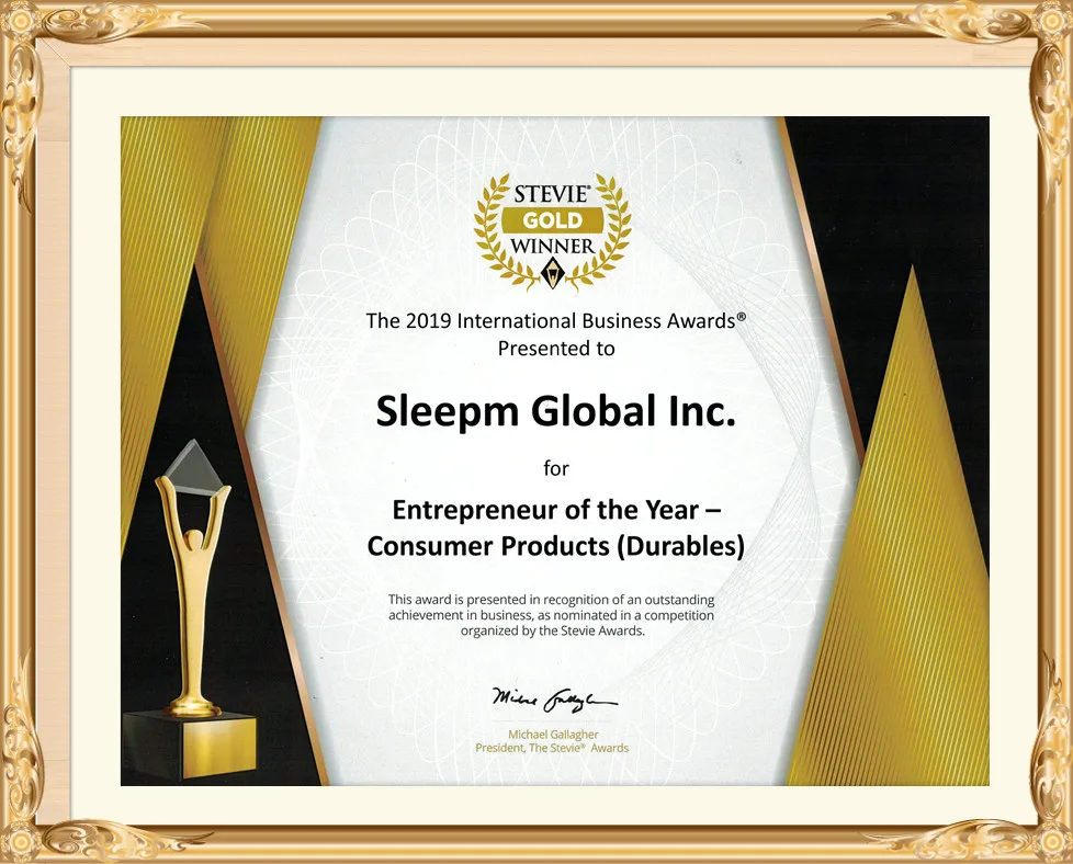 Stevie Awards certificate, Sleepm Global Inc.