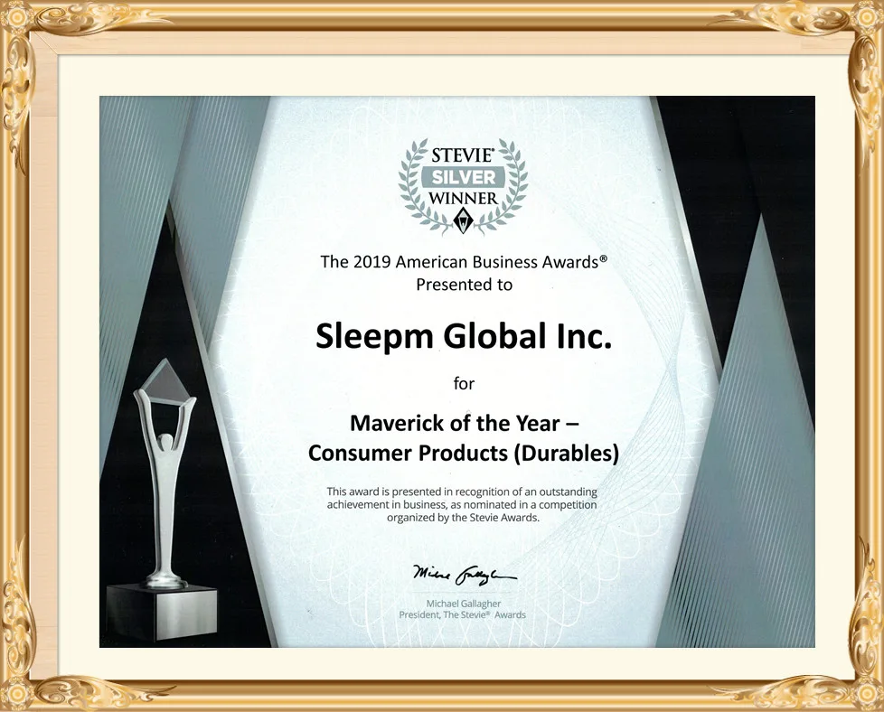 Stevie Awards certificate, Sleepm Global Inc.
