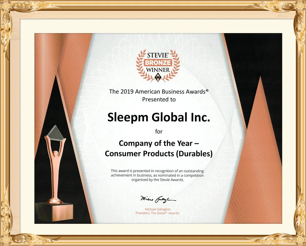 Stevie Awards certificate, Sleepm Global Inc.